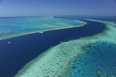 Reefworld at the Great Barrier Reef is the ultimate way to see the ...