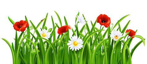 Free Flower Grass Cliparts, Download Free Flower Grass Cliparts png images, Free ClipArts on ...