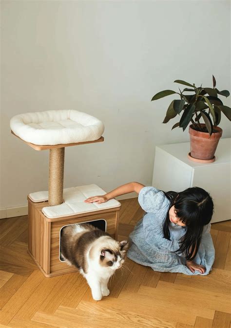 8 Modern Cat Trees That Will Look Fab in Your Home - Dwell