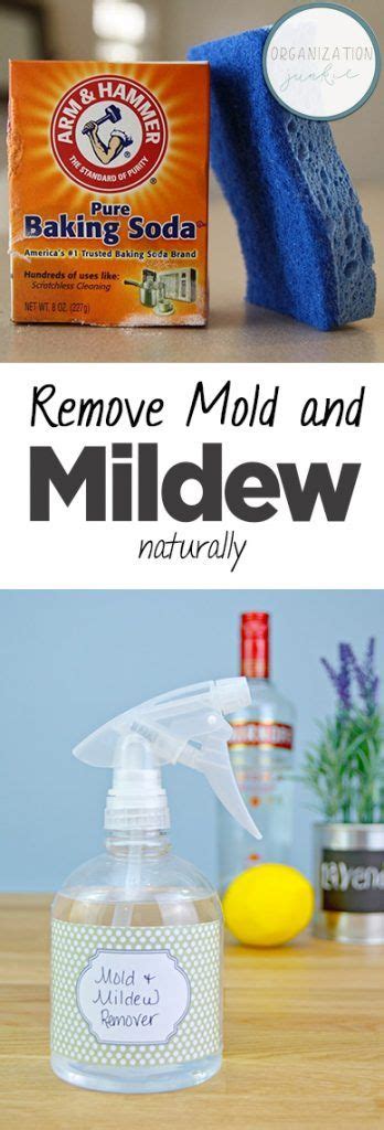 Remove Mold and Mildew Naturally