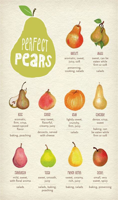 27 best Pear Varieties images on Pinterest | Pear varieties, Fruit and Vegetables