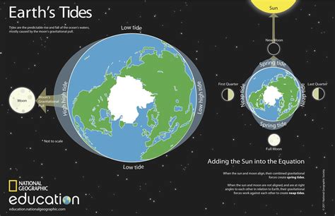 Tides - Mr. Franklin's Science Lab