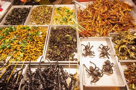 Five Ways to Start Eating Insects | Innovation | Smithsonian Magazine