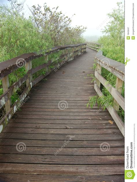 Boardwalk in Anhinga Trail stock image. Image of park - 1845647