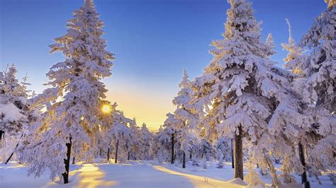 Beautiful Winter Wonderland Wallpaper (43+ images)