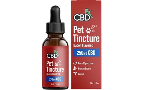 Best CBD oil for dogs with arthritis - CBDBuzzz.com