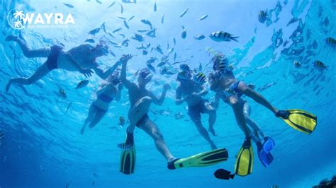 Snorkeling at the Catalina Islands