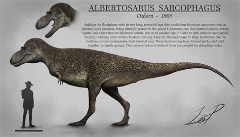 Albertosaurus sarcophagus Art by Zeinner de Paula Dinosaur Photo ...