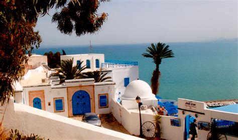 The Blue Doors of Sidi Bou Said – Engaging Cultures Travel