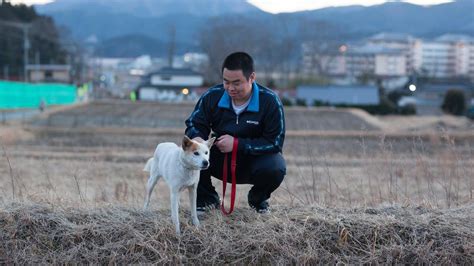 Kisah Korban Selamat Tsunami Jepang: Ayah Ingin Aku Jadi... - Global ...