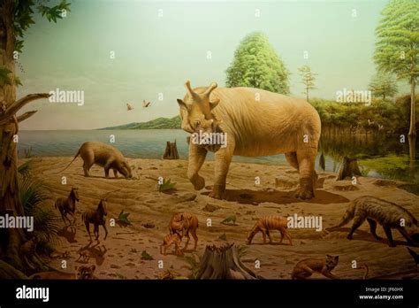 Artist depiction of mammals of the Oligocene epoch, Paleogene period (prehistoric animals ...