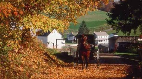 amish country - Fall Leaf Tours In The American Countryside - A ...