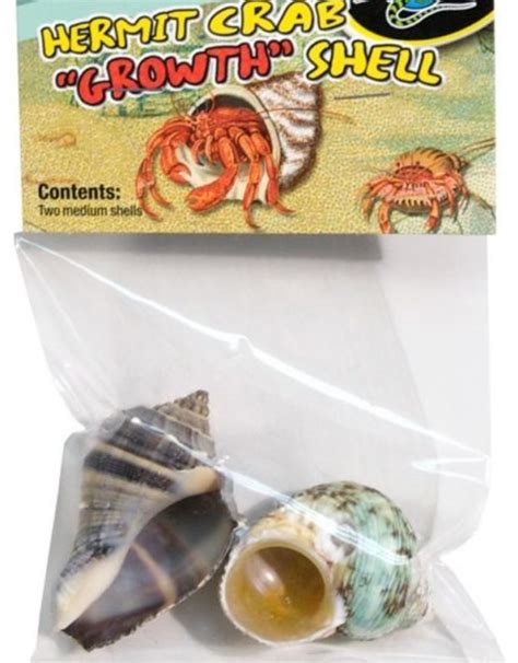 Hermit Crab Shell | corona.dothome.co.kr
