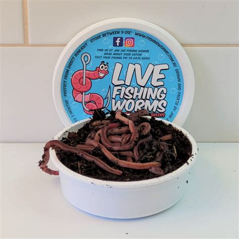 20 Live Bait Fishing Worms - European Nightcrawlers | livebaitfishingworms