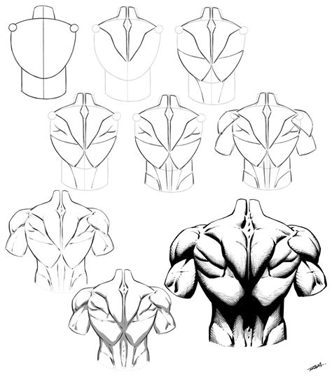 Drawing the Back Anatomy Male Torso - Step by Step by robertmarzullo on ...