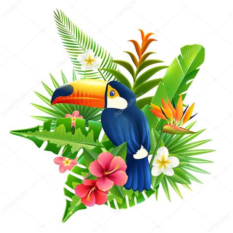 Tropical Flowers Illustration — Stock Vector © macrovector #70841885