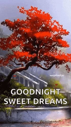 Good Night Sweet Dreams, Autumn Trees, Animated Gif, Cool Gifs, Animation, Discover, Fall, Best ...