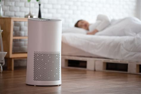 Whole House Vs. Room Air Purifiers Pros & Cons