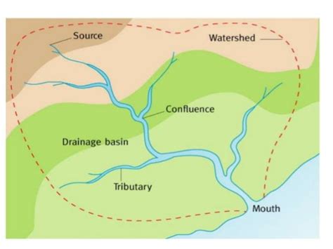 20 Elegant Drainage Basin Diagram - joey-joeysocial