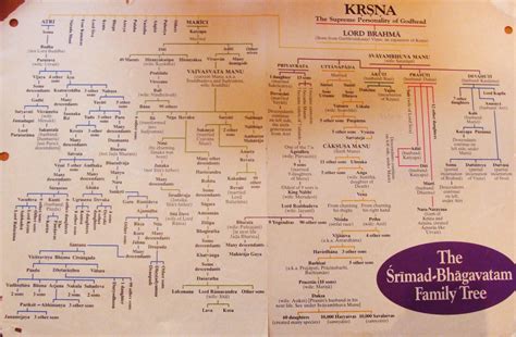 The Srimad Bhagavatam Family Tree | Family tree, Teacher planning, Tree