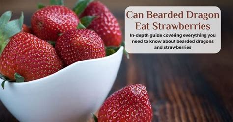 Can Bearded Dragons Eat Strawberries? Is It Safe? • Desired Reptiles