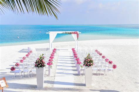 Beach Wedding Theme · Free Stock Photo