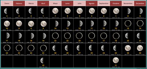 Guía de embarazo: Calendario Lunar 2020 - Tips de Madre