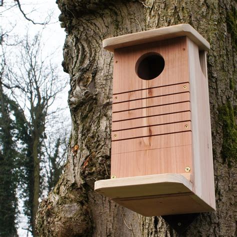 Red Squirrel Nest Box (Wildlife World) – The Birds Bistro