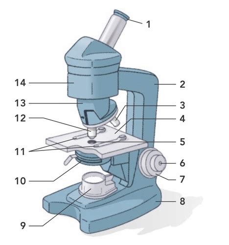 Parts of a microscope Flashcards | Quizlet