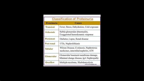 Proteinuria symptoms and treatment #nephrology - YouTube