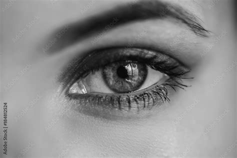 Macro shot of female human eye in black and white toned. Stock Photo | Adobe Stock