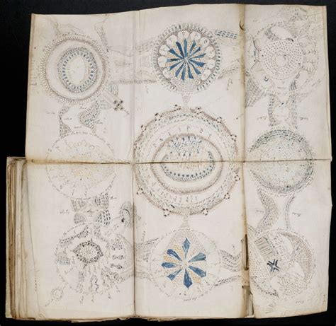 10 Words in Mysterious Voynich Manuscript Decoded | Live Science