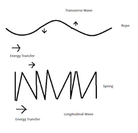 Transverse Wave | Overview & Examples - Video & Lesson Transcript | Study.com