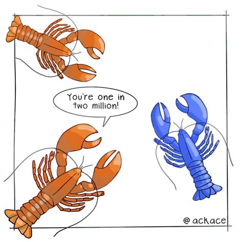 50 Shades of Lobster Red: What Color are Lobsters, Really?