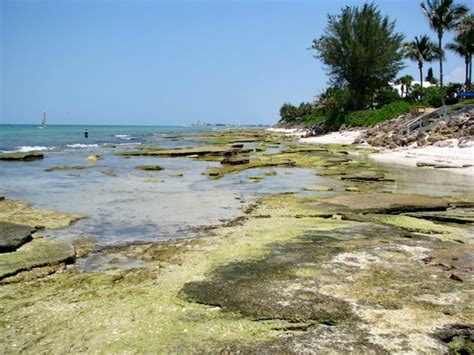 Point-of-Rocks, Siesta Key, Florida.