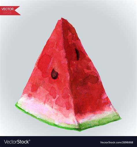 Watercolor slice of watermelon Royalty Free Vector Image