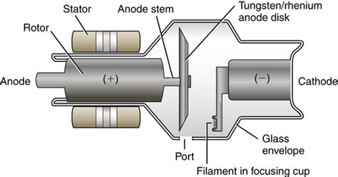 The X-ray Tube | Radiology Key