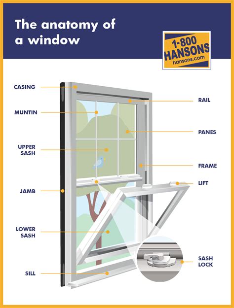 Double-Hung Window Sizes And Configurations, 57% OFF