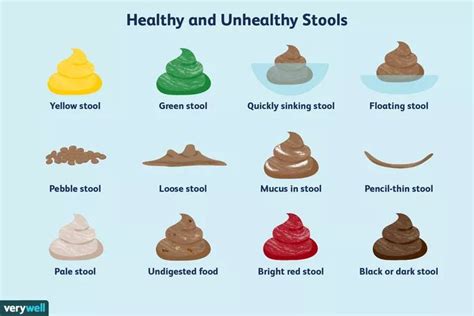 What Do the Different Poop Colors and Shapes Mean? | 夏, ふわふわ, リビングダイニング 北欧