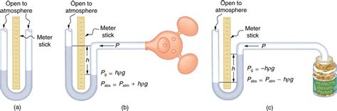 11.6 Gauge Pressure, Absolute Pressure, and Pressure Measurement – College Physics: OpenStax