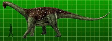 Saltasaurus Pictures & Facts - The Dinosaur Database