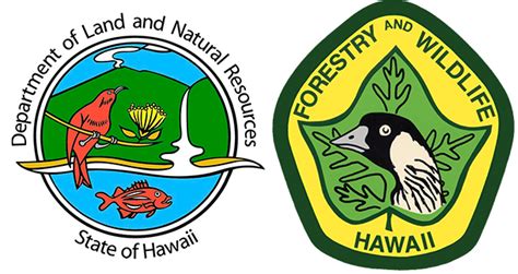 Division of Forestry and Wildlife