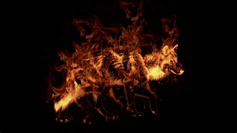 🔥 [50+] Fire Wolf Wallpapers | WallpaperSafari