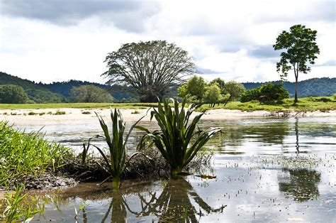 Black Mountain Queensland Australia Photograph by Sandy Andreoletti | Fine Art America