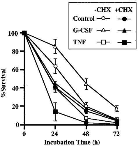 Effects of cycloheximide, TNF, and G-CSF on neutrophil survival. Cells... | Download Scientific ...