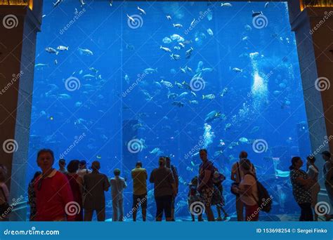 The Lost Chambers Aquarium editorial stock image. Image of look - 153698254