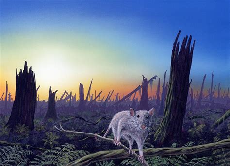 Cretaceous-tertiary Extinction Event Photograph by Richard Bizley - Fine Art America