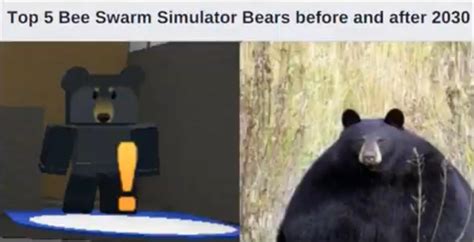 Black Bear Now vs Black Bear in 2030 : r/BeeSwarmSimulator