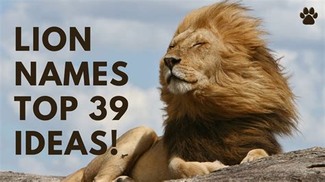 🦁 Lion Names 39 TOP 🌿 BEST 🌿 Names Ideas | Names - YouTube