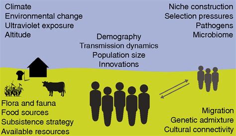 Cultural evolutionary theory: How culture evolves and why it matters | PNAS